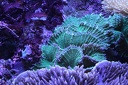 IMG 6993