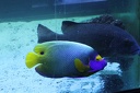 IMG 7108