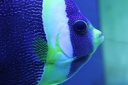 IMG 7115