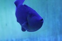 IMG 7116