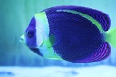 IMG 7119