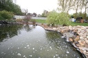 IMG 6055