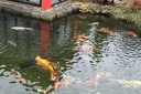 IMG 5943