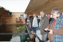 IMG 5945