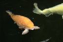 IMG 5962