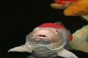 IMG 5970