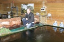 IMG 5989