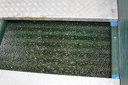 IMG 5991