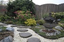 IMG 6135