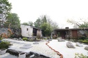 IMG 6138