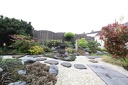 IMG 6139