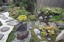IMG 6143