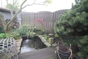 IMG 6145