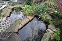 IMG 6146