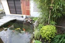 IMG 6153
