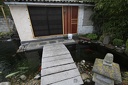 IMG 6155