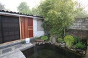 IMG 6156