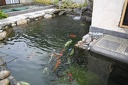 IMG 6157