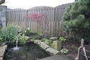 IMG 6160