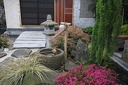 IMG 6161