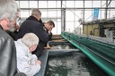 IMG 6019