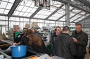 IMG 6041