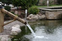 IMG 1572