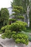 IMG 1509