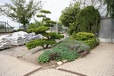 IMG 9164