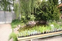 IMG 9165