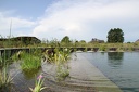 IMG 0438