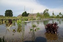 IMG 0440