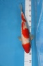 IMG 6333