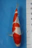 IMG 6374