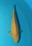 1019