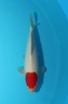 1030