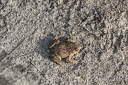IMG 4067