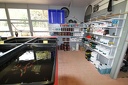 IMG 6917