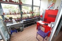 IMG 6918