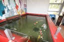 IMG 6919