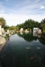 IMG 7011