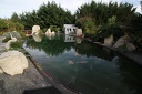IMG 7014