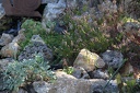 IMG 6401