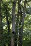 IMG 6439