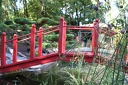 IMG 6447