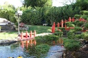 IMG 6466