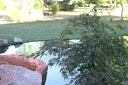 IMG 6052