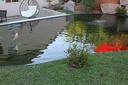 IMG 6065