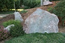 IMG 6068