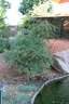 IMG 6069